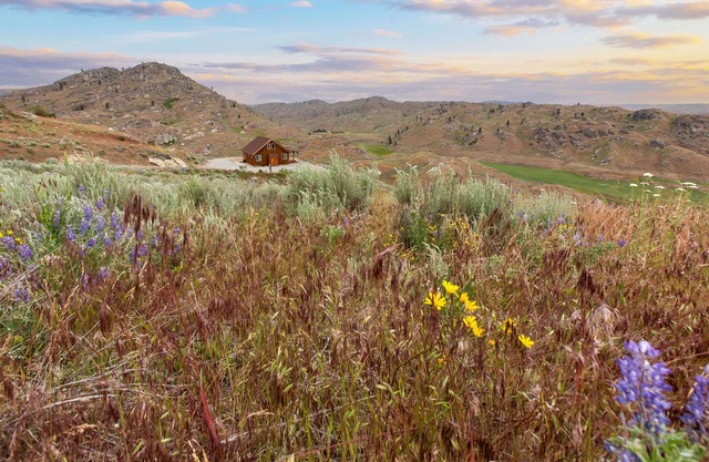 NEW: Beautiful Mountain Views, Abundant Wildlife & Dark, Dark Skies