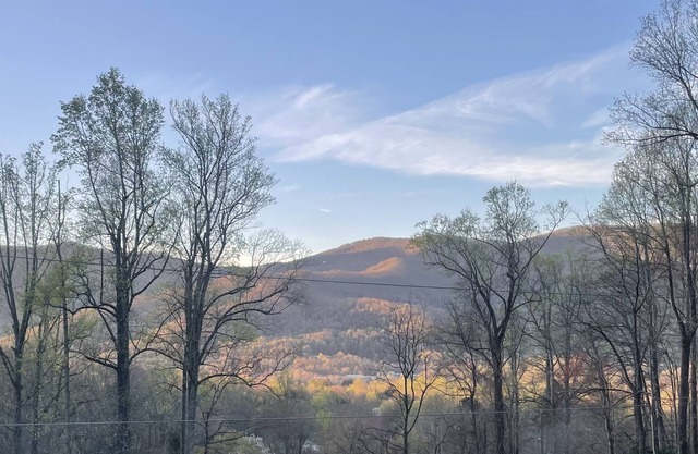 NEW BUILD Asheville-Black Mountain craftsman w/mountain views
