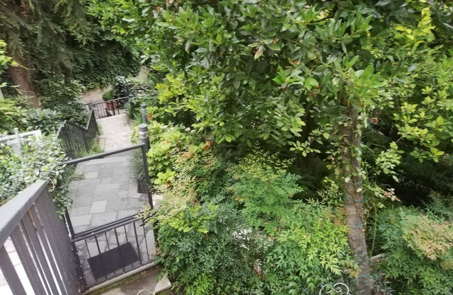 New, close to the center, charming, in the green