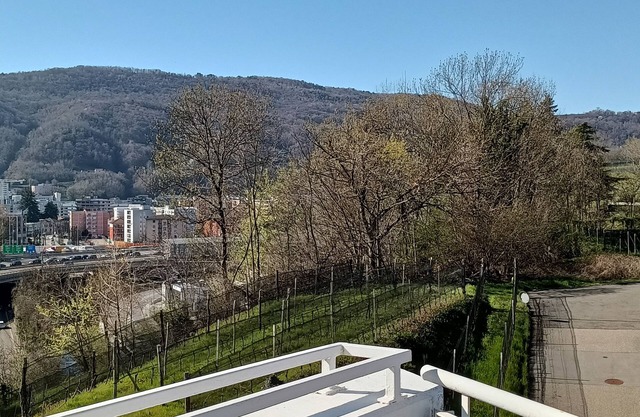 New Comfort Lodge