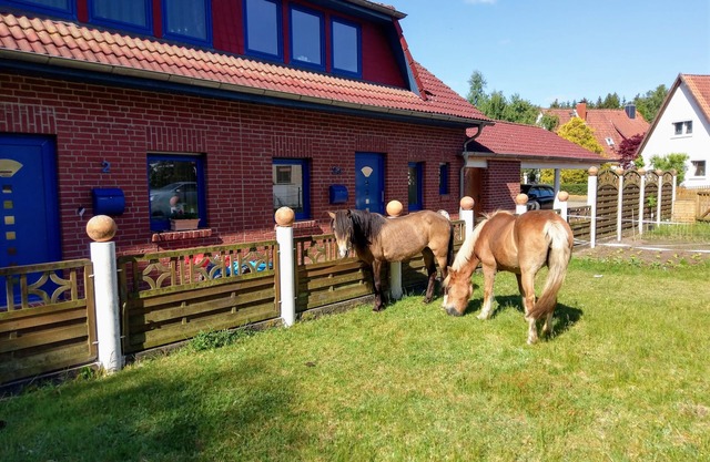 New Comfortable vacation home145m² garden/barbecue area,800m² playground, leisure park