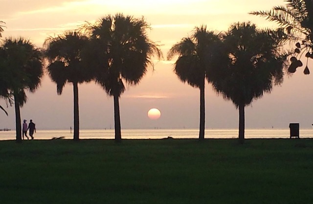 NEW! Cozy St Pete Home close to Beaches & Downtown St Petersburg