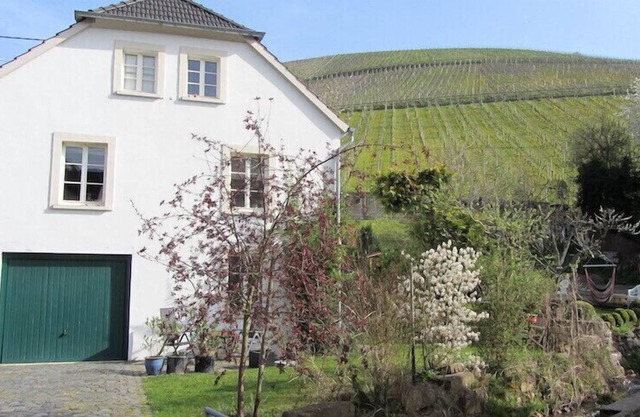 NEW: duplex apartment rental - for active and peace seekers