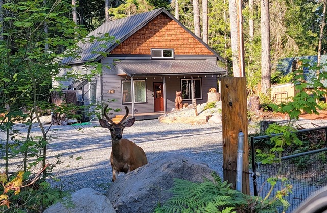 New! Family Cabin w/Solo Stove Firepit, EV & Spa!