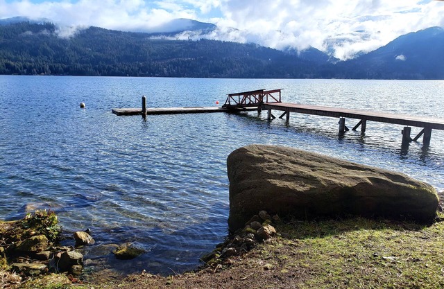 *NEW* Lakefront Cabin with Boat Dock