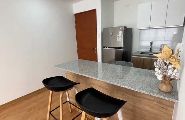 New Lovely Apartment in Barranco