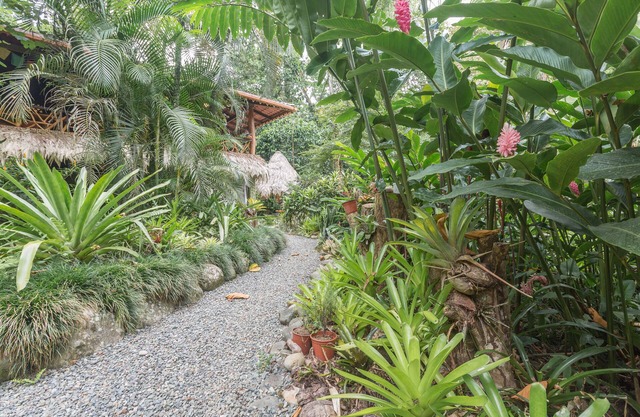 NEW Pickleball court coming soon! Pool, hot tub, wildlife—we’ve got it ALL!