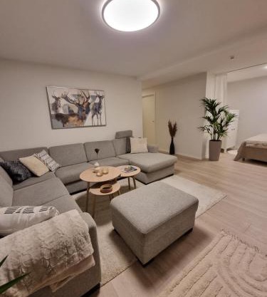New renovated apartment near the airport with 3 double beds