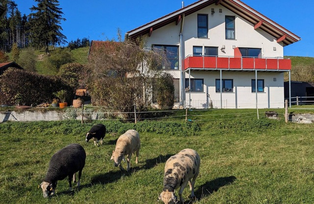 NEW - Time-out at an idyllic ranch