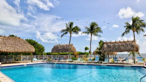 New Tropical Escape Sea Gulls 407