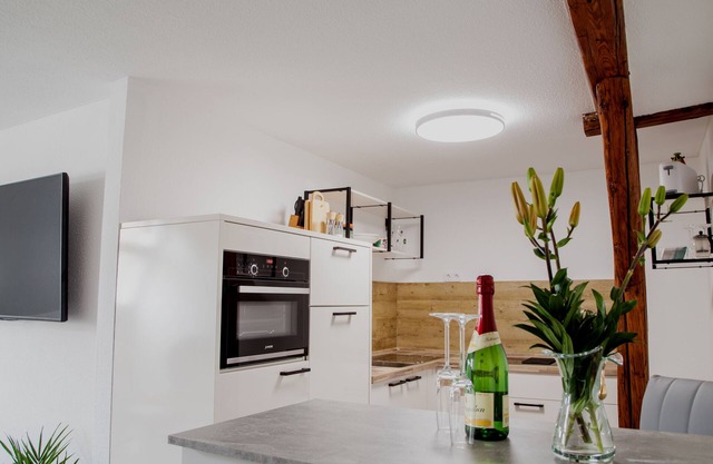 NEW! Vacation apartment Muecheln Geiseltal