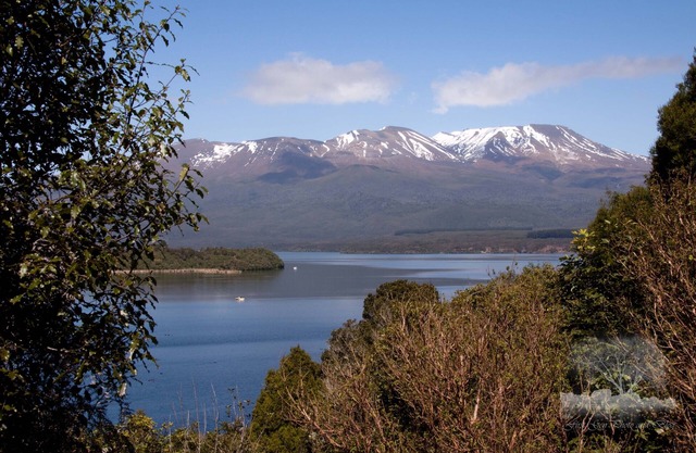 New White Water Lodge 二 Turangi