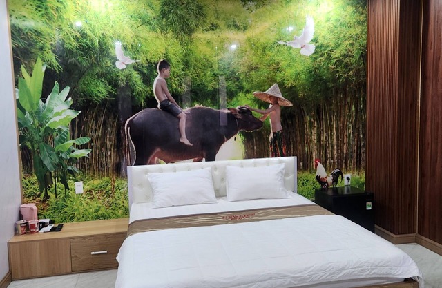 Newlife Homestay