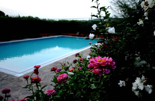 Newly renovated apartment on the ground of organic farm, infinity pool