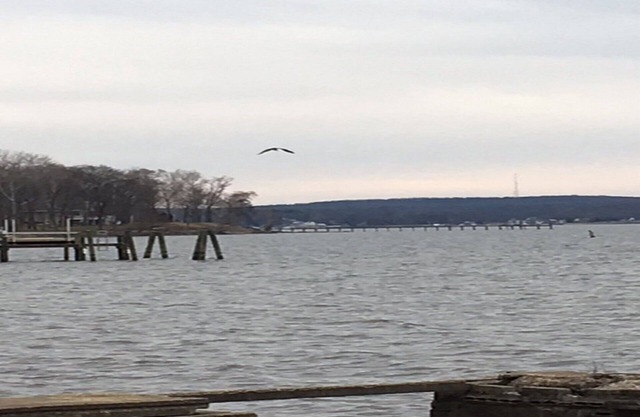 * NEWLY RENOVATED* Escape to a Beautiful Getaway on the Chesapeake Bay