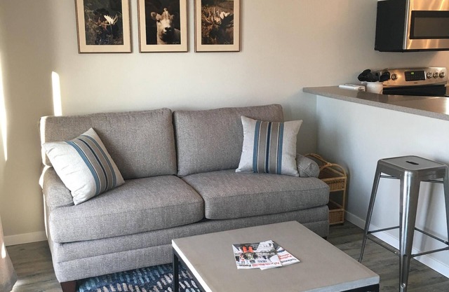 Newly Renovated In-Town Apartment - Close to everything!