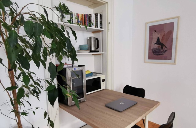 Newly renovated studio near the park and city