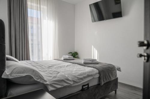 NexuS Apartments