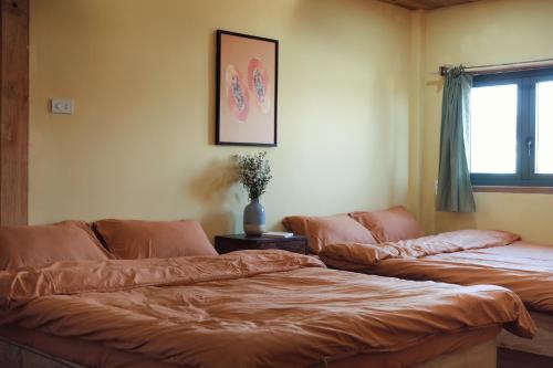 Nhà Đậu Homestay Măng Đen - 75 Võ Thị Sáu