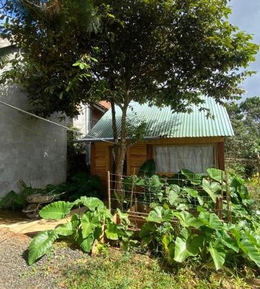 NHÀ GỖ 30M2 - WOOD HOME 30M2