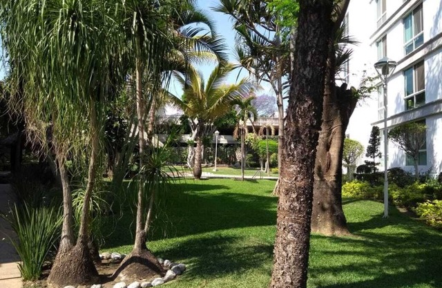 Nice apartment in Cuernavaca. very central.
