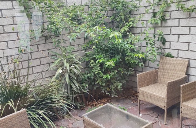 Nice cozy house 12min from Plaza Antea (pets welcome)