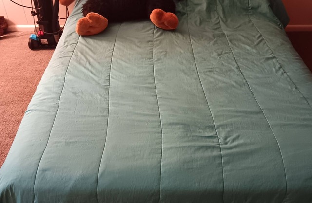 NICE GIRL FOR COZY SPOT CLOSE TO DOWNTOWN MACON AND NEAR MALL.