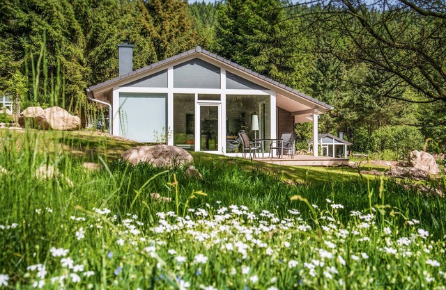Nice home in Ruhla with sauna