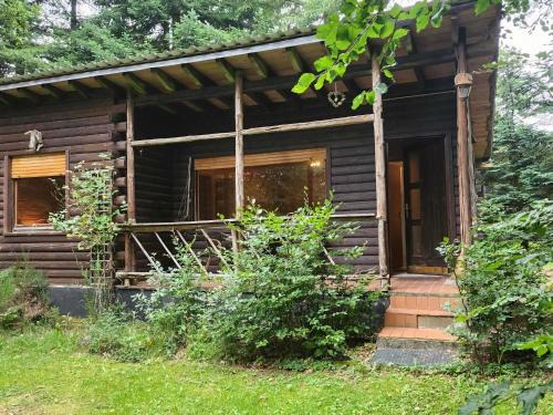Nice house with sauna and steam bath in a forest