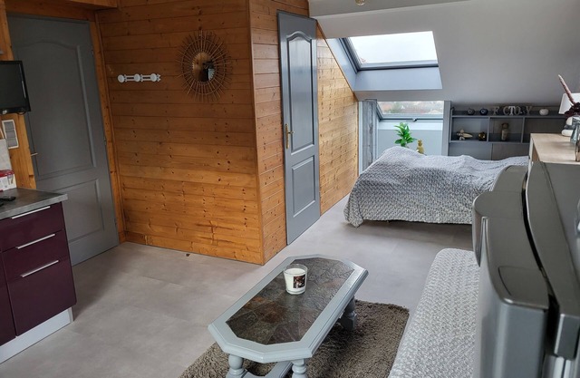 Nice studio epinal