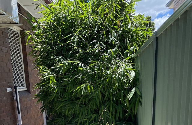 Nice townhouse in Sydney’s Burwood central