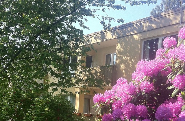 Nicely furnished 2ZKBB apartment in a quiet house near Düsseldorf