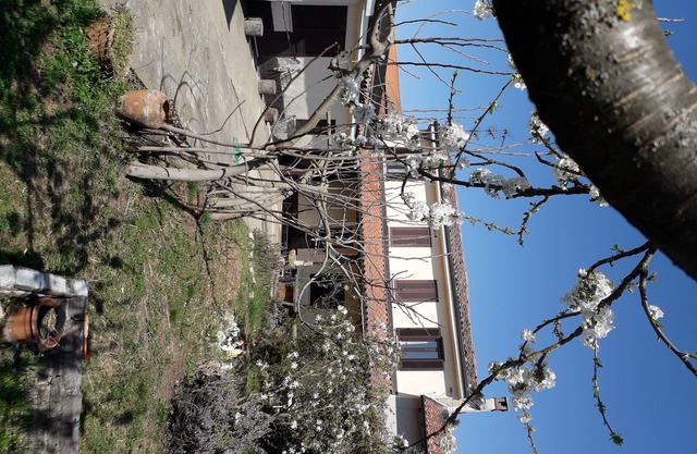 Nicoletta House in Lomellina