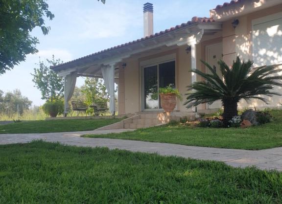 Nikolas home