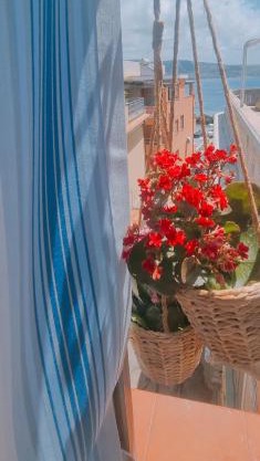 Ninù's Home