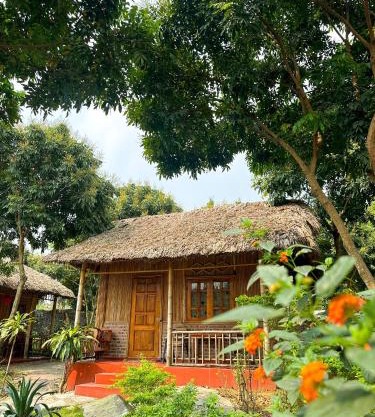 Ninh Binh Bamboo Farmstay