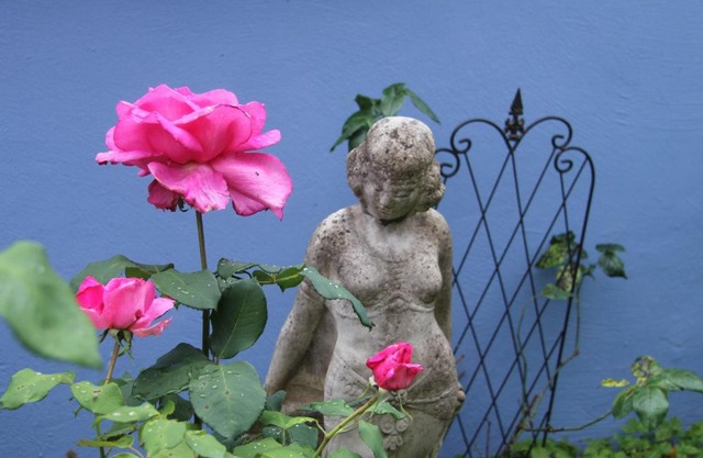 No.31 B&B im Rosengarten