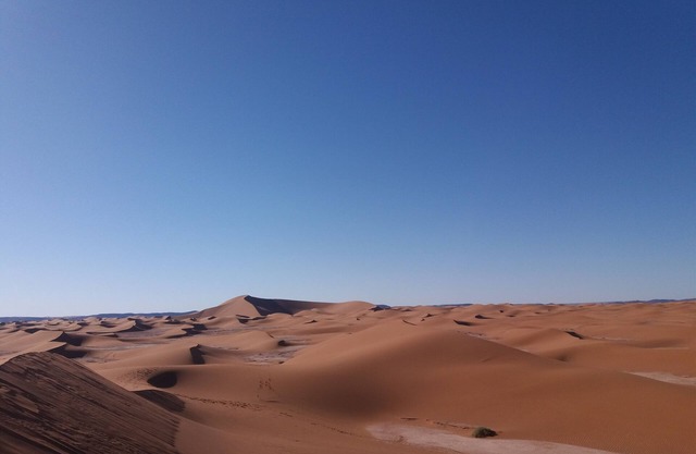 Nomadic camp desert