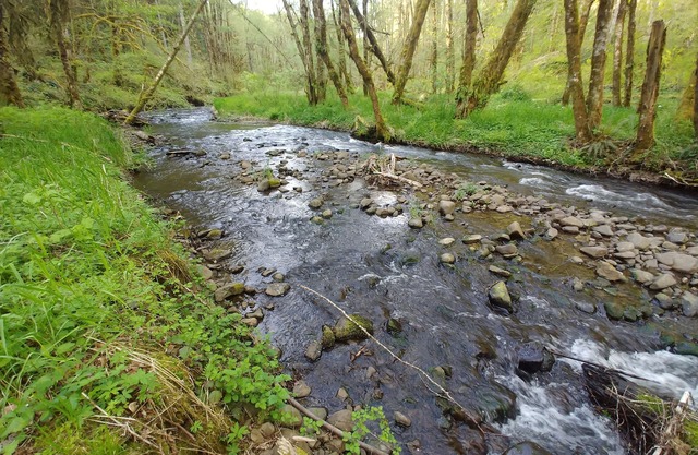 North Plains Home on a Stream in foothills of the Coast Range Mtns Unplug Zone