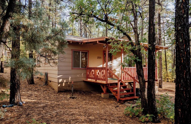 Northwoods (#10) Cabin in the Pines