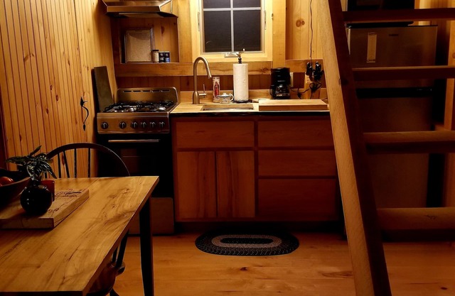Northwoods Guest Cabin and firepit & porch overlooking private woods and stream