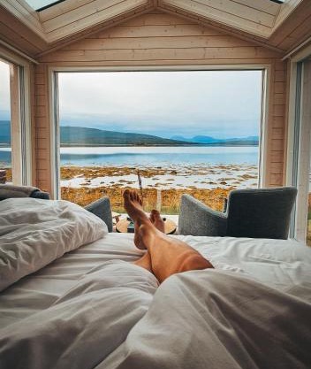 Norwegian Wild