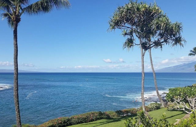 NP B28 1BR gorgeous, private, Ocean front spot, full AC, well stocked