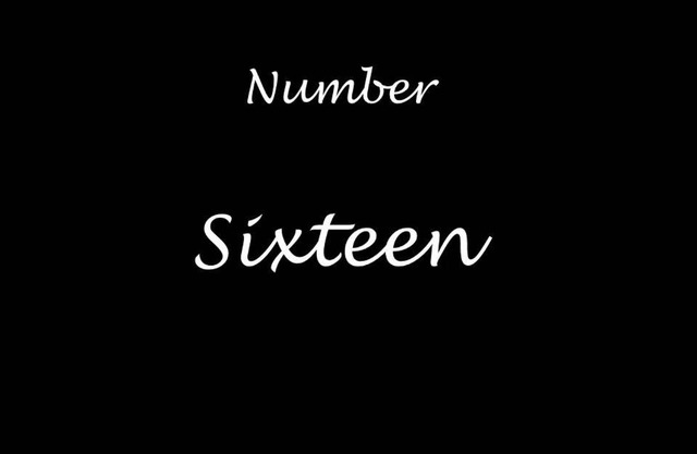 Number Sixteen