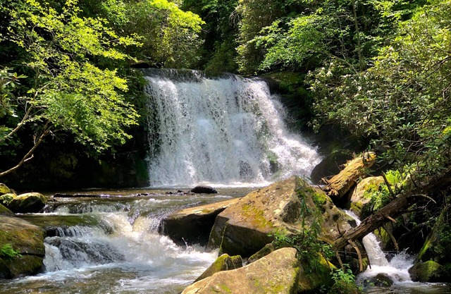 O'Henry's Getaway - Tail of the Dragon - Secluded Vacation Retreat Cheoah River