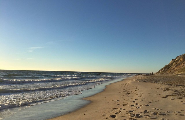 Oak Bluffs, Martha's Vineyard rental by the week for July and August 2022