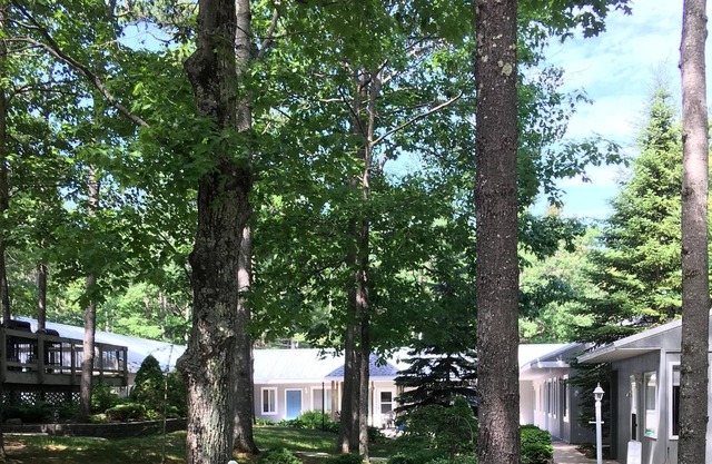 Oak Woods Lodge Unit 7. Quiet setting in the woods, but close to town.