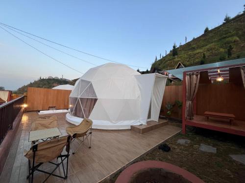 Oasis Inn Glamping