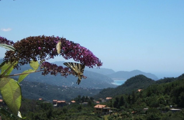 Oasis of relaxation between land and sea! Eco - Friendly Property CIN IT010053C29KS5ZQKV