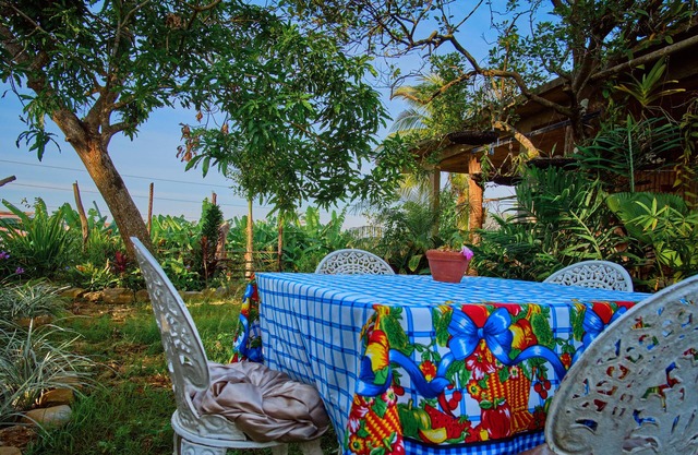 Oasis of tranquility & nature in Viñales